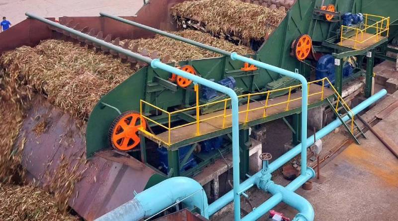 Venezuela avanza en producción agroecológica de maíz con tecnología propia